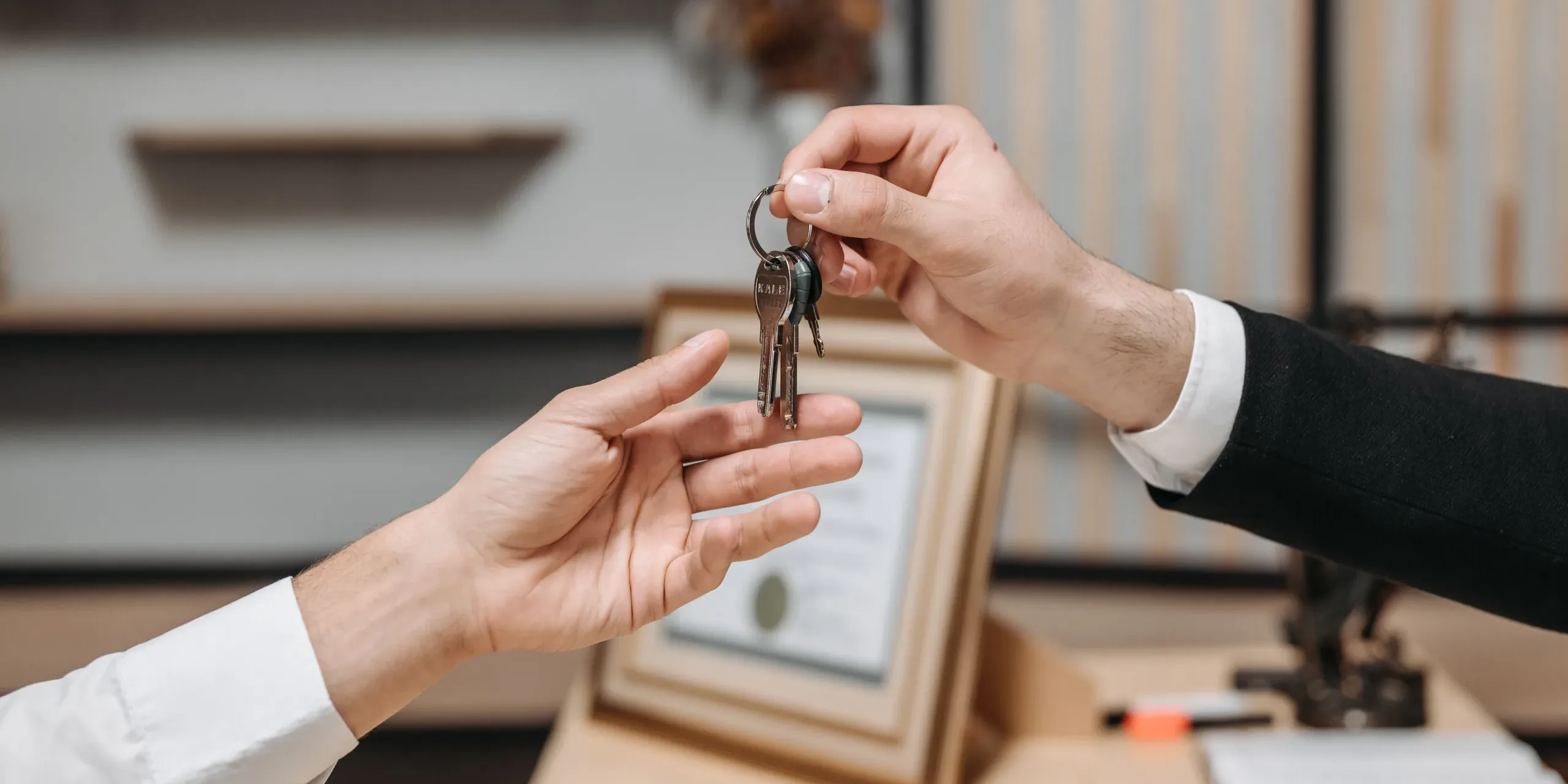 Property & Real Estate
